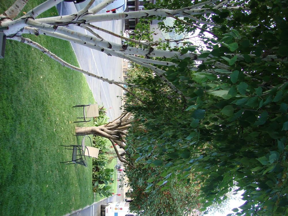 Silver Spruce Inn Glenwood Springs Εξωτερικό φωτογραφία