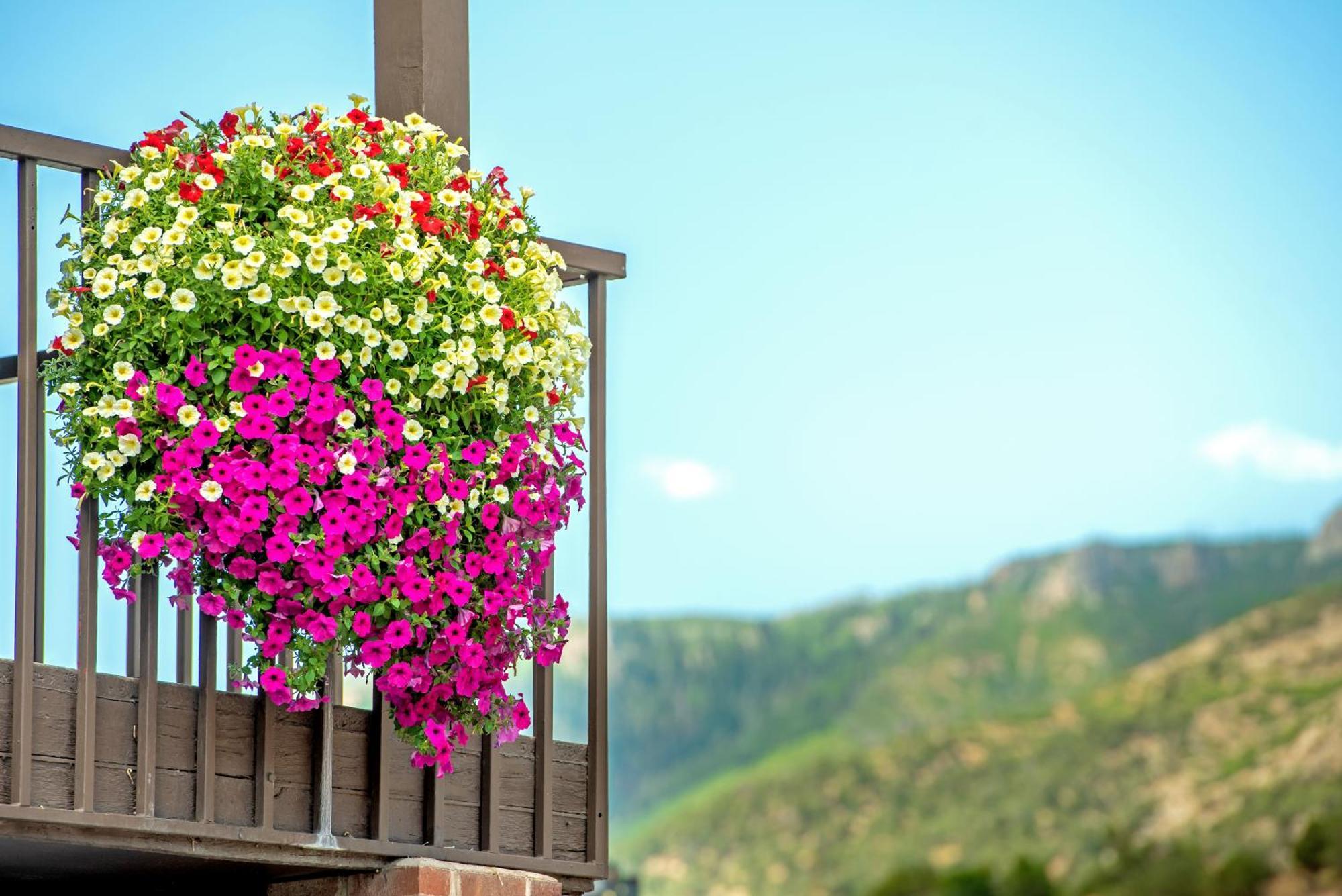 Silver Spruce Inn Glenwood Springs Εξωτερικό φωτογραφία