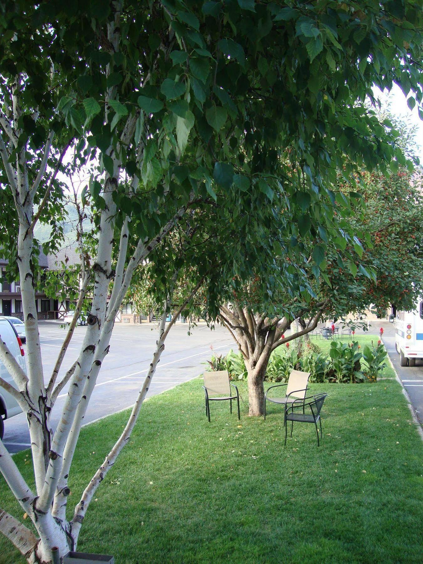 Silver Spruce Inn Glenwood Springs Εξωτερικό φωτογραφία